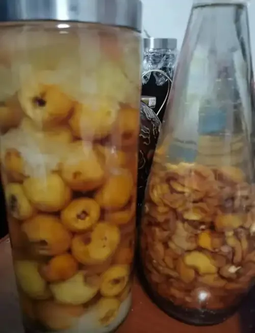 家庭自制枇杷酒发酵过程实拍，金黄色枇杷果肉在透明玻璃罐中与酒液完美融合。_1