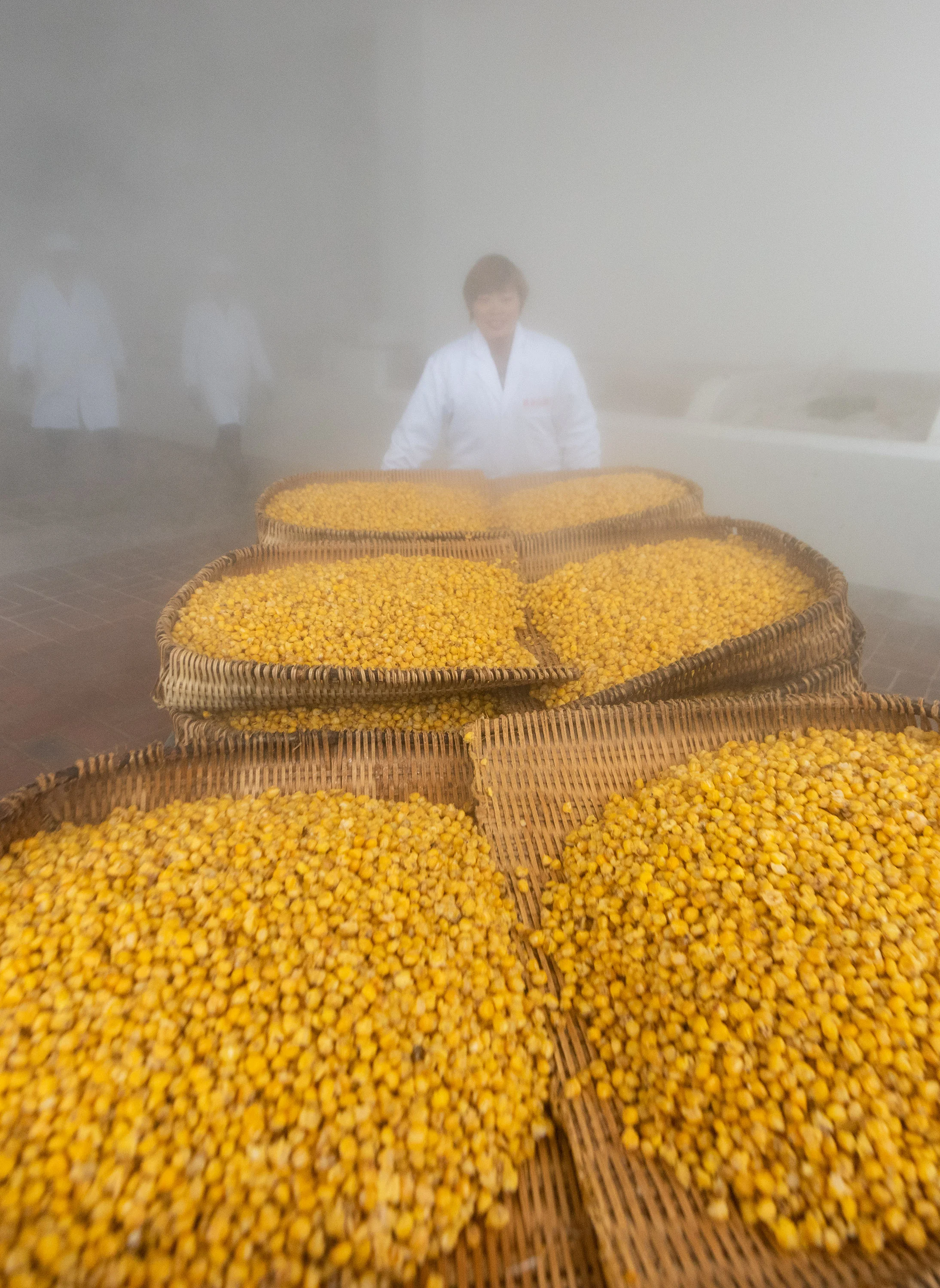 高粱与玉米混合粮食在陶制发酵缸中的特写，展示了酿酒前粮食处理后的理想状态。_1