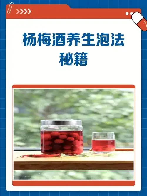 家庭自制杨梅酒的主要材料展示：装满杨梅和白酒的玻璃罐、新鲜杨梅和冰糖_1