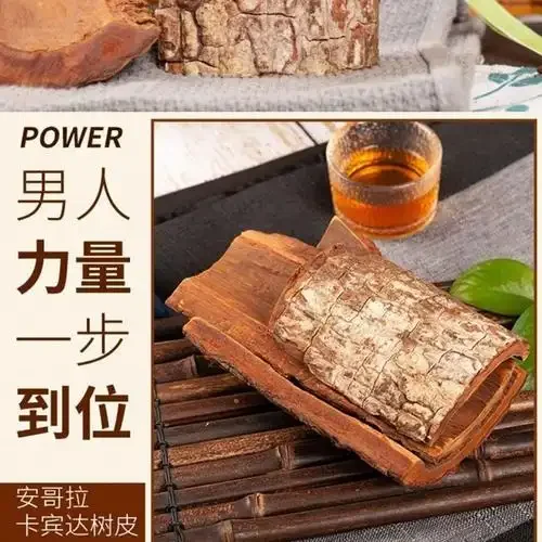 卡宾达树皮泡酒过程展示：玻璃罐中树皮浸泡在琥珀色酒液中_1