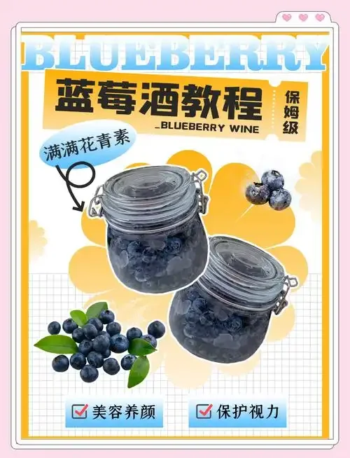 蓝莓米酒酿造过程展示：新鲜蓝莓、糯米与正在发酵的紫红色酒液_1