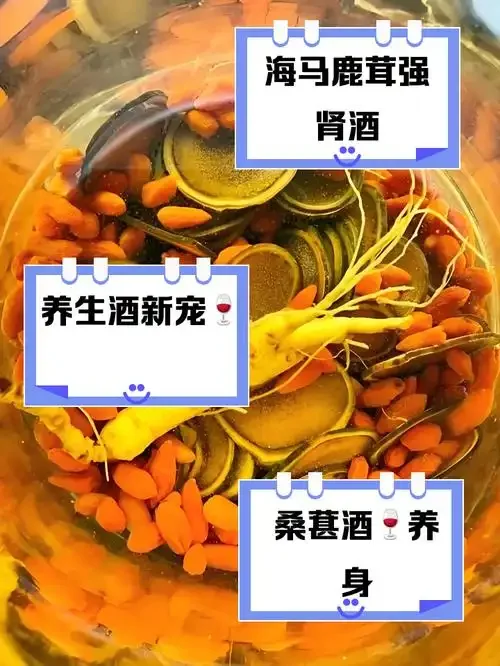 降尿酸泡酒原料展示：玻璃罐中浸泡着栀子、玉米须、菊苣等中药材_1