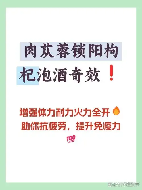 展示海龙、海马、枸杞、锁阳在透明玻璃罐中泡酒的成品与药材特写_1