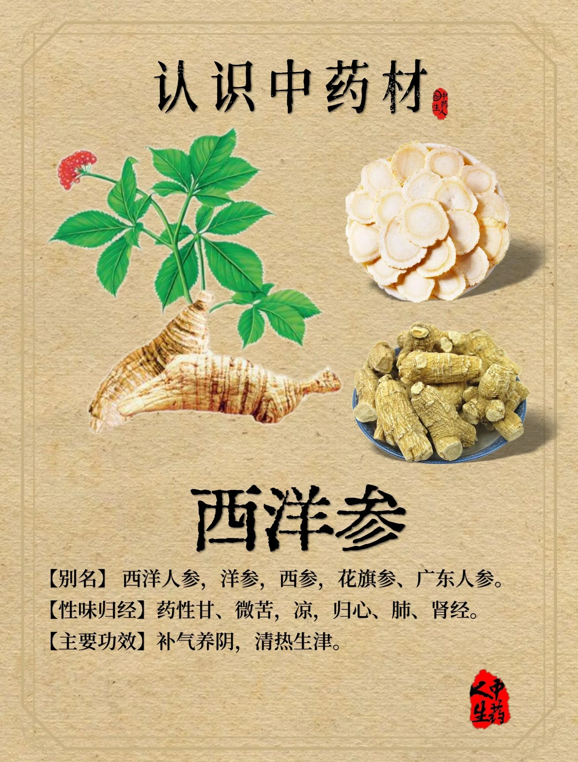 西洋参三七泡酒的实拍图片：透明玻璃罐中金黄色的酒液浸泡着西洋参和三七，旁边摆放着原料和酒盅。_1