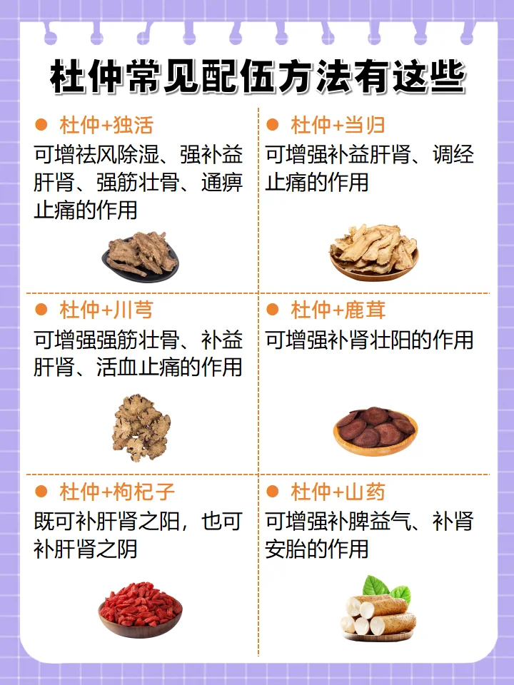 酿酒师手工将杜仲皮放入玻璃酒坛中浸泡的特写镜头_1