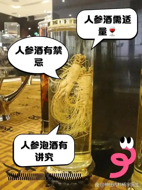 泡酒罐中真人参与酒的细节特写，展示根须、芦头等关键鉴别特征_1