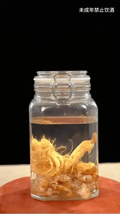 黄精、枸杞、肉苁蓉泡在琥珀色酒液中的玻璃罐特写，展示自制养生酒的质感_1