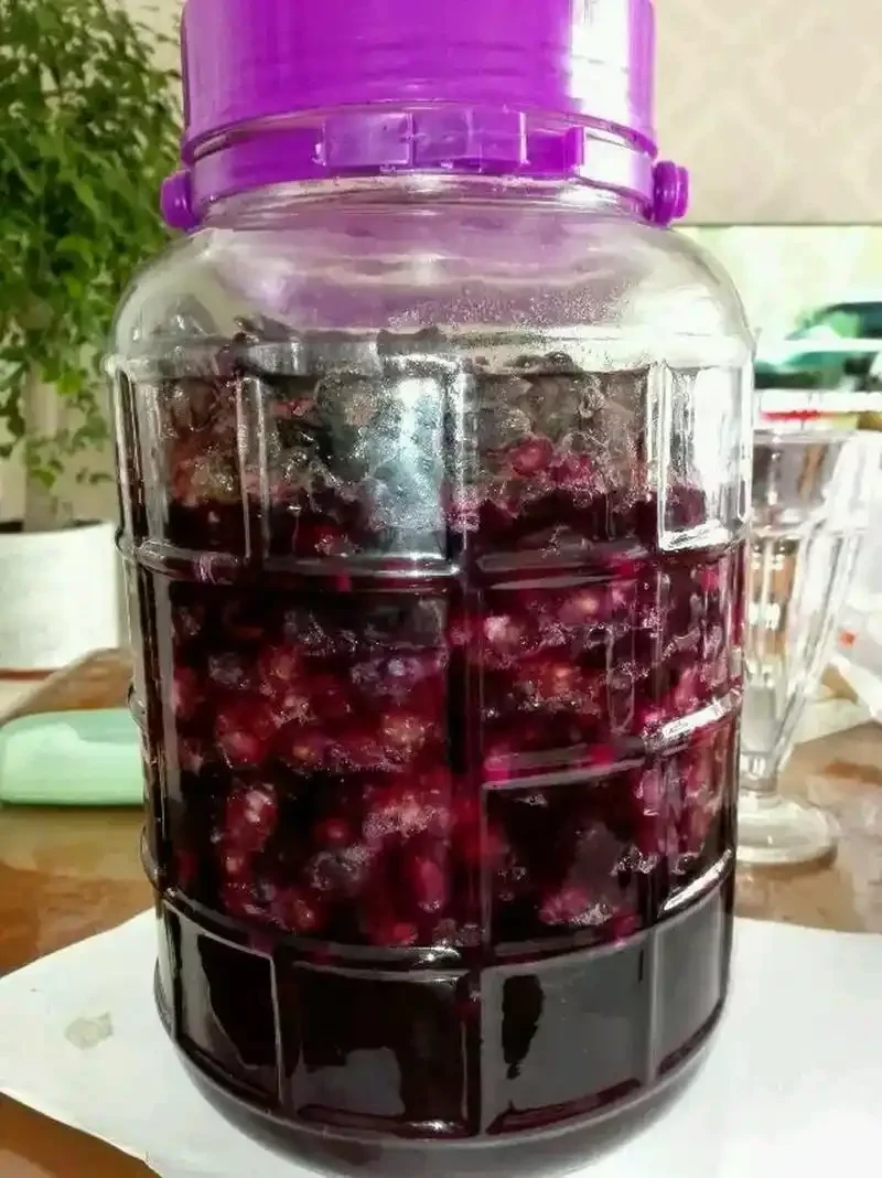 酿酒师正在操作台前检查自酿葡萄酒，旁边放着检测工具和成熟的葡萄原料_1