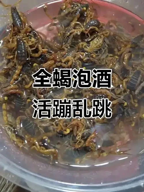 透明玻璃酒坛中蝎子泡酒特写，展示琥珀色酒体与完整蝎子形态，对比旁边未处理的活蝎子。_1