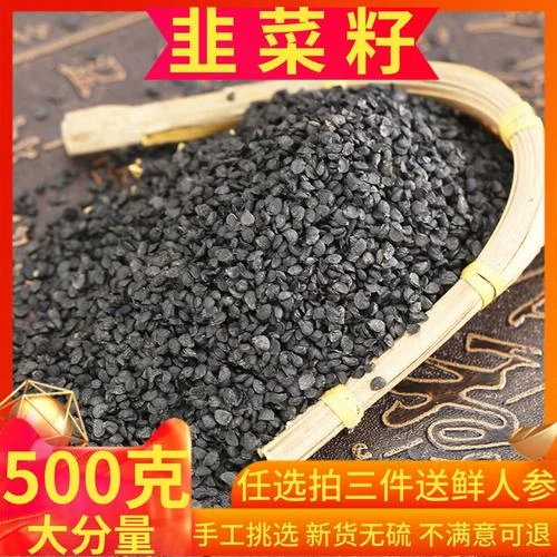 优质韭菜籽与白酒在透明玻璃罐中浸泡的特写，展示家庭泡酒的正确材料与容器。_1