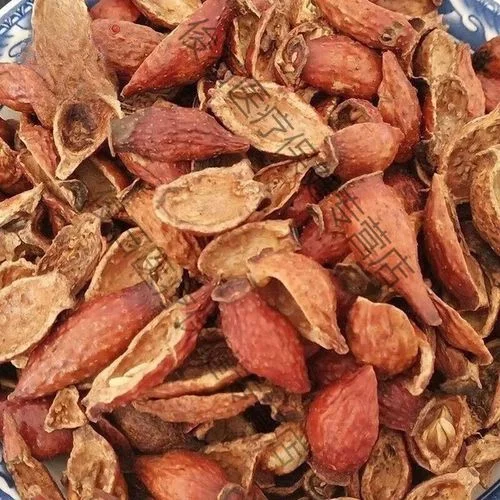 金樱子与牛大力泡在透明玻璃酒坛中的特写照片，旁边放置着原材料。_1