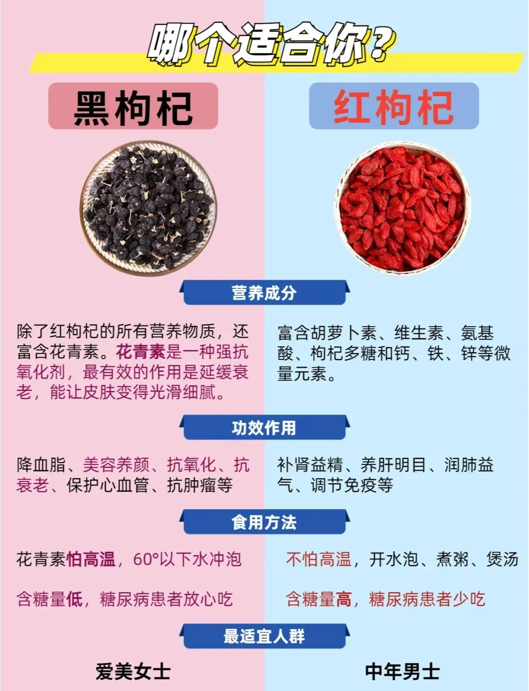一个装有红黑枸杞混合浸泡的琥珀色酒液的玻璃罐特写，展示自制枸杞酒的诱人状态。_1