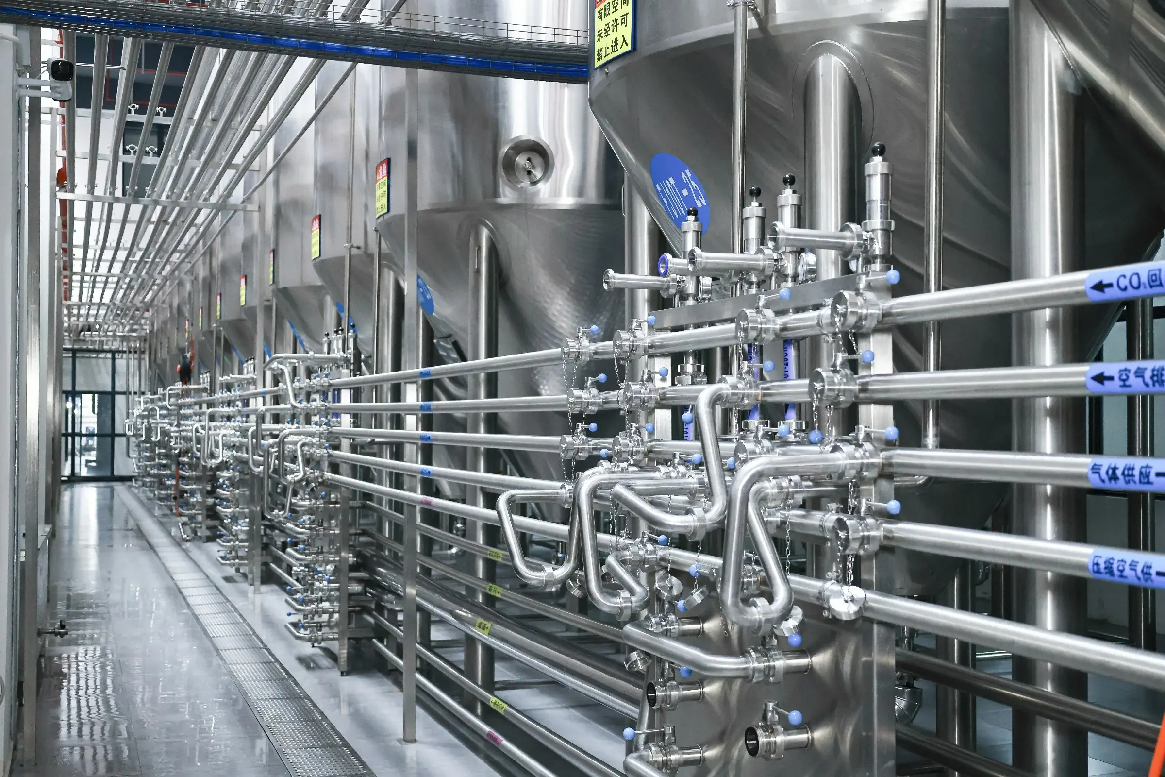 一套完整的家庭或小型商业啤酒酿造设备配置实景图，包含发酵罐、糖化煮沸系统等核心部件。_1