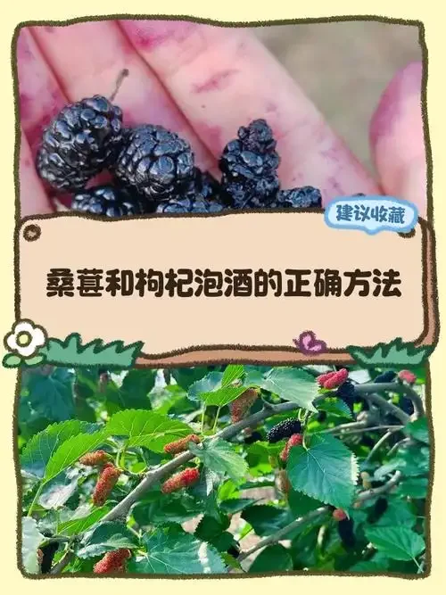 正在浸泡中的桑葚枸杞酒特写，深紫色桑葚与红色枸杞在酒液中清晰可见，色泽诱人_1