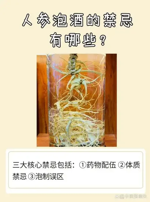 人参枸杞鹿茸泡酒配方成品展示，玻璃瓶中金黄酒液与药材清晰可见，背景为古朴酿酒工作台。_1