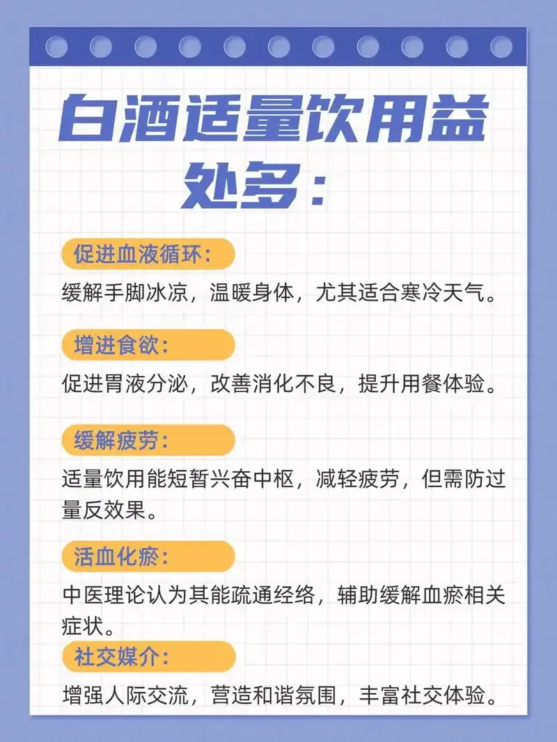 一瓶白酒与烹饪食材、清洁工具、银饰等物品摆放在一起，展示白酒的多功能用途。_1