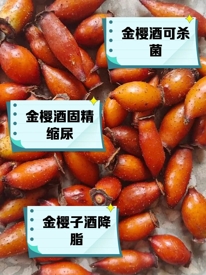 对比图：青金樱子泡酒与熟金樱子泡酒在色泽和状态上的差异_1