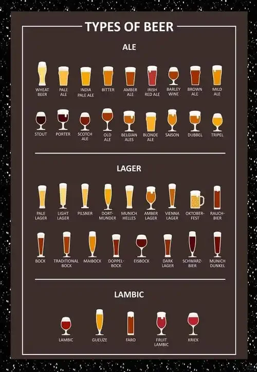 家庭啤酒酿造过程展示：发酵罐中的麦芽汁正在发酵，旁边摆放着麦芽、啤酒花和酵母等原料_1