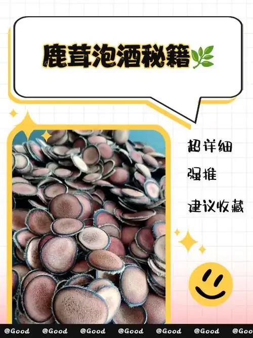 鹿鞭酒泡制过程示意图：透明玻璃罐中鹿鞭、枸杞、红枣浸泡在金黄酒液中_1