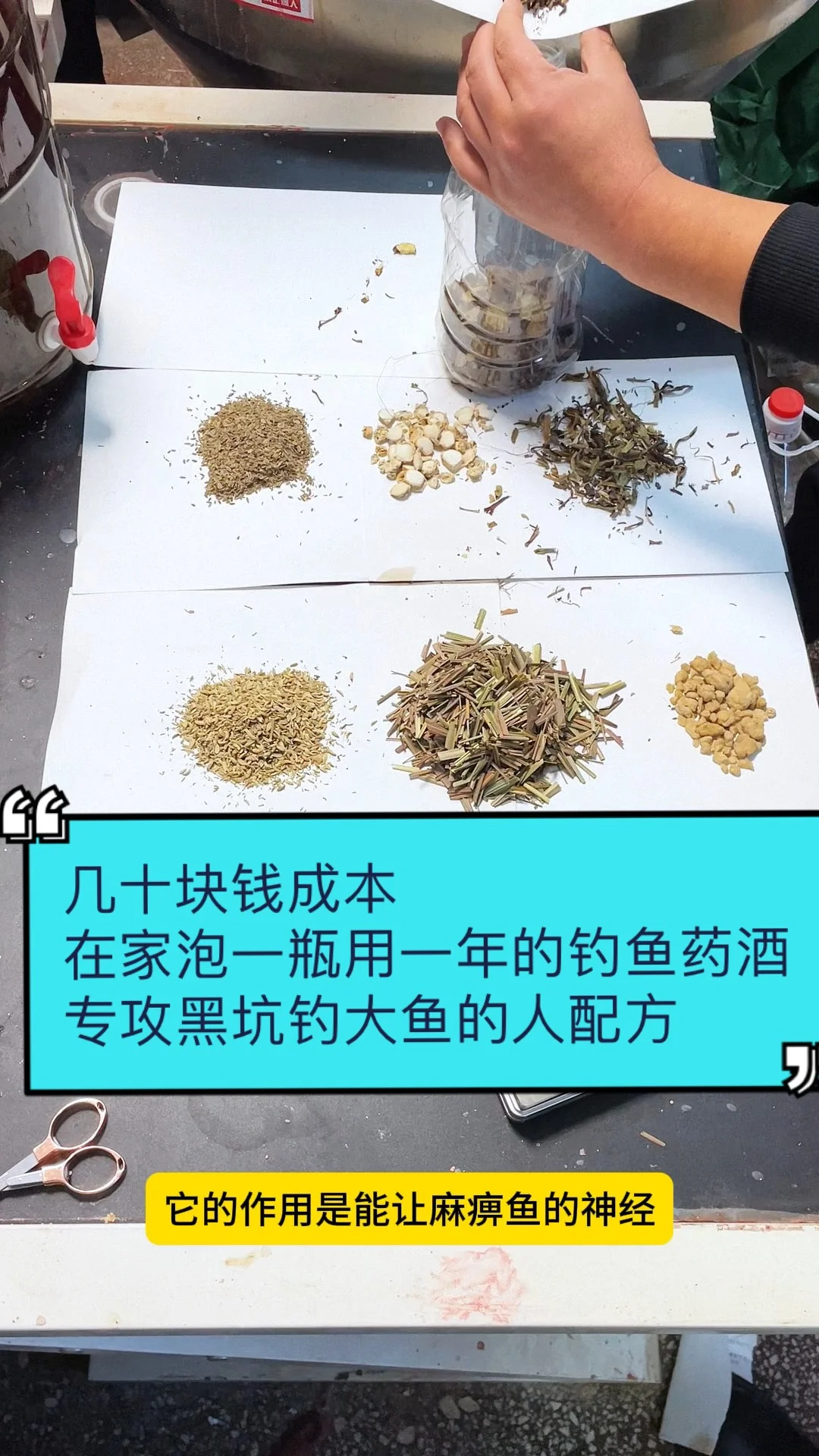 一瓶正在泡制的草鱼药酒，琥珀色液体中清晰可见各种中药材，旁边散落着钓鱼用具，展示家庭自制过程。_1