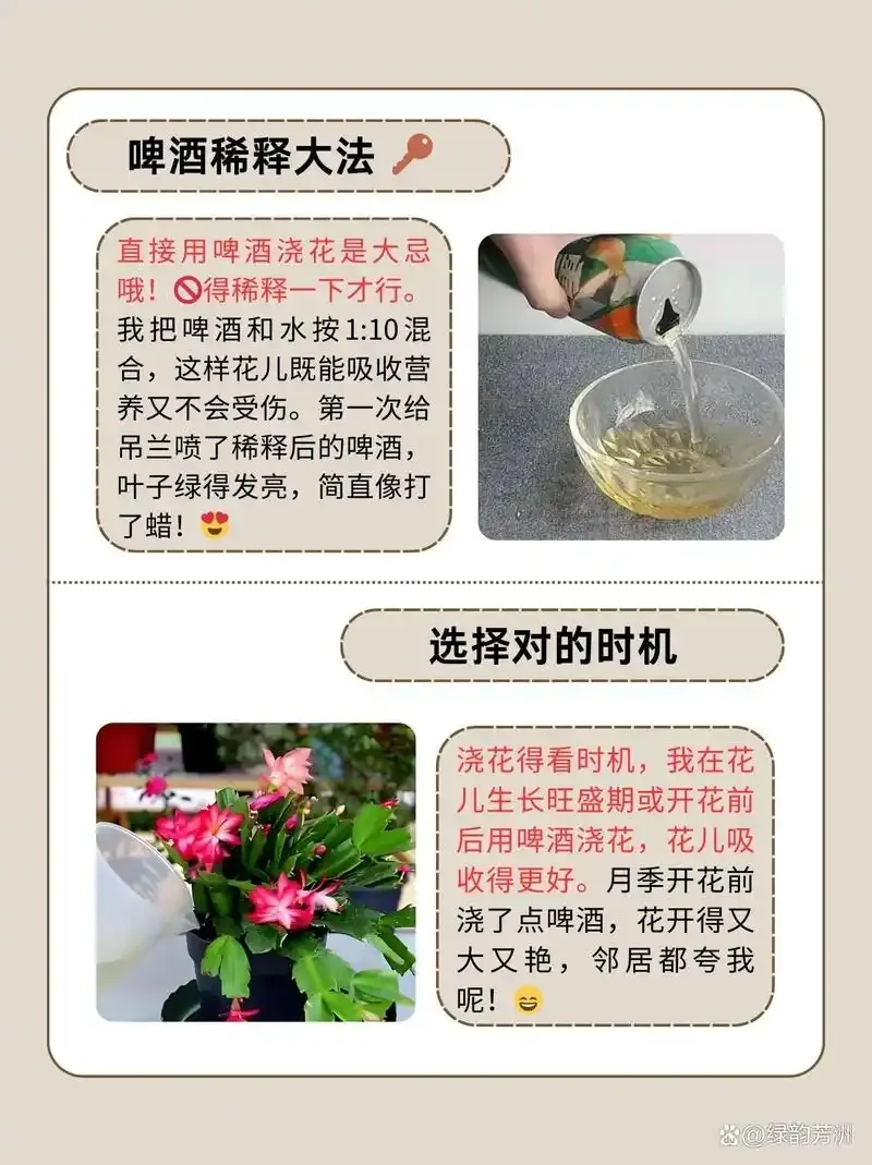 家庭自酿啤酒全套工具与成品展示，金色啤酒与丰富泡沫细节。_1