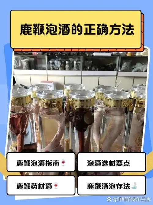 鹿鞭人参泡酒成品展示，透明玻璃酒坛内可见完整人参和鹿鞭段，琥珀色酒体，旁边散落枸杞等辅材。_1