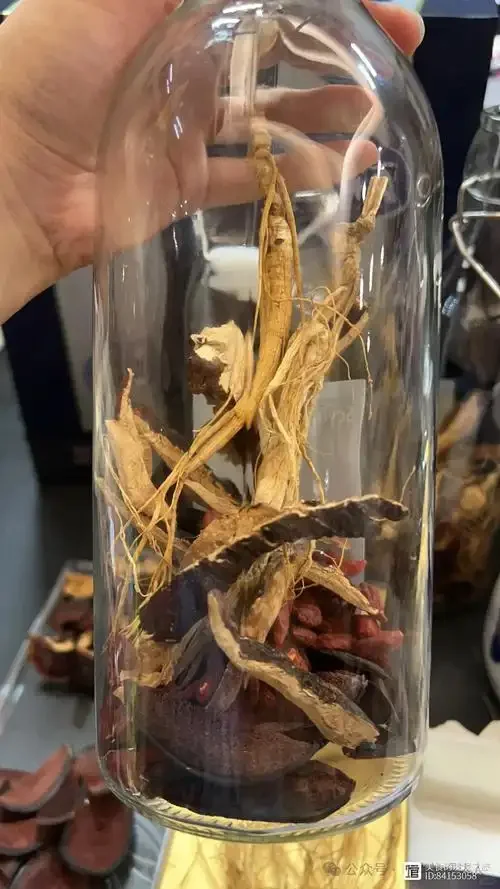 酿酒师工作台上的鹿茸泡酒坛，展示鹿茸与枸杞红枣在金黄酒液中的浸泡状态_1