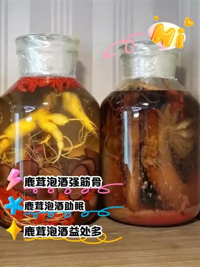 鹿鞭鹿茸不老草泡酒配方实物展示：透明酒坛中浸泡着鹿鞭、鹿茸片和肉苁蓉等药材_1