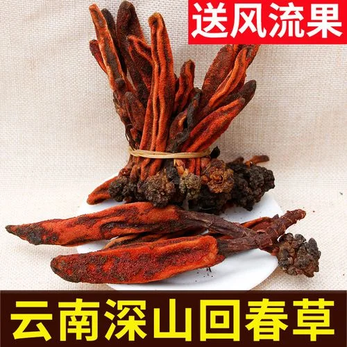 锁阳肉苁蓉风流果泡酒药材与玻璃罐展示图_1