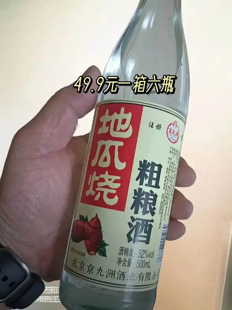 酿酒师正在准备酿造地瓜烧白酒的原料红薯_1