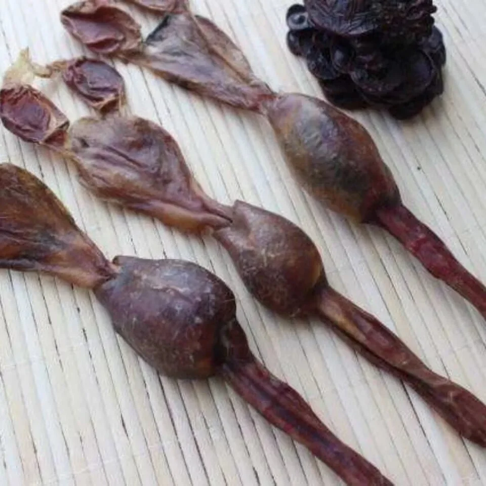 专业泡酒操作台展示：透明玻璃瓶内装有狗鞭与药材，旁边配有电子秤和白酒，用于说明精准的泡酒比例。_1