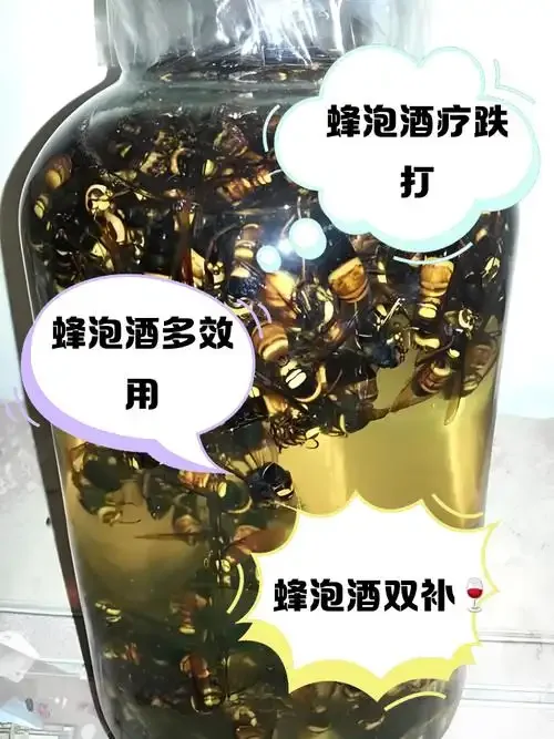 酿酒师安全操作狼毒入酒过程特写_1