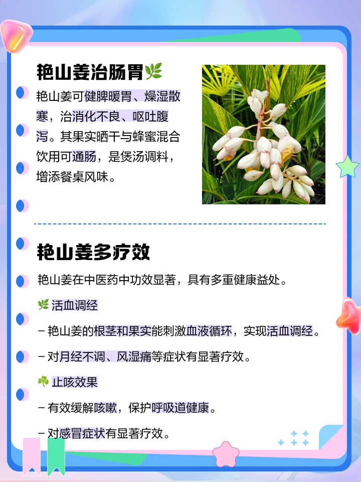 爬岩姜与多种中药材在琥珀色酒液中浸泡的玻璃罐特写，展示家庭泡制药酒的经典场景。_1