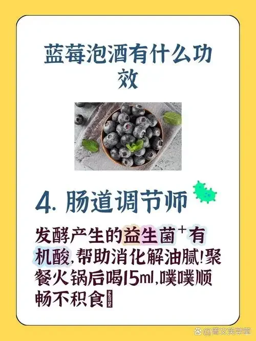 状态良好与已变质蓝莓泡酒的视觉对比图，展示酒液清澈度、颜色和瓶中蓝莓状态的差异。_1