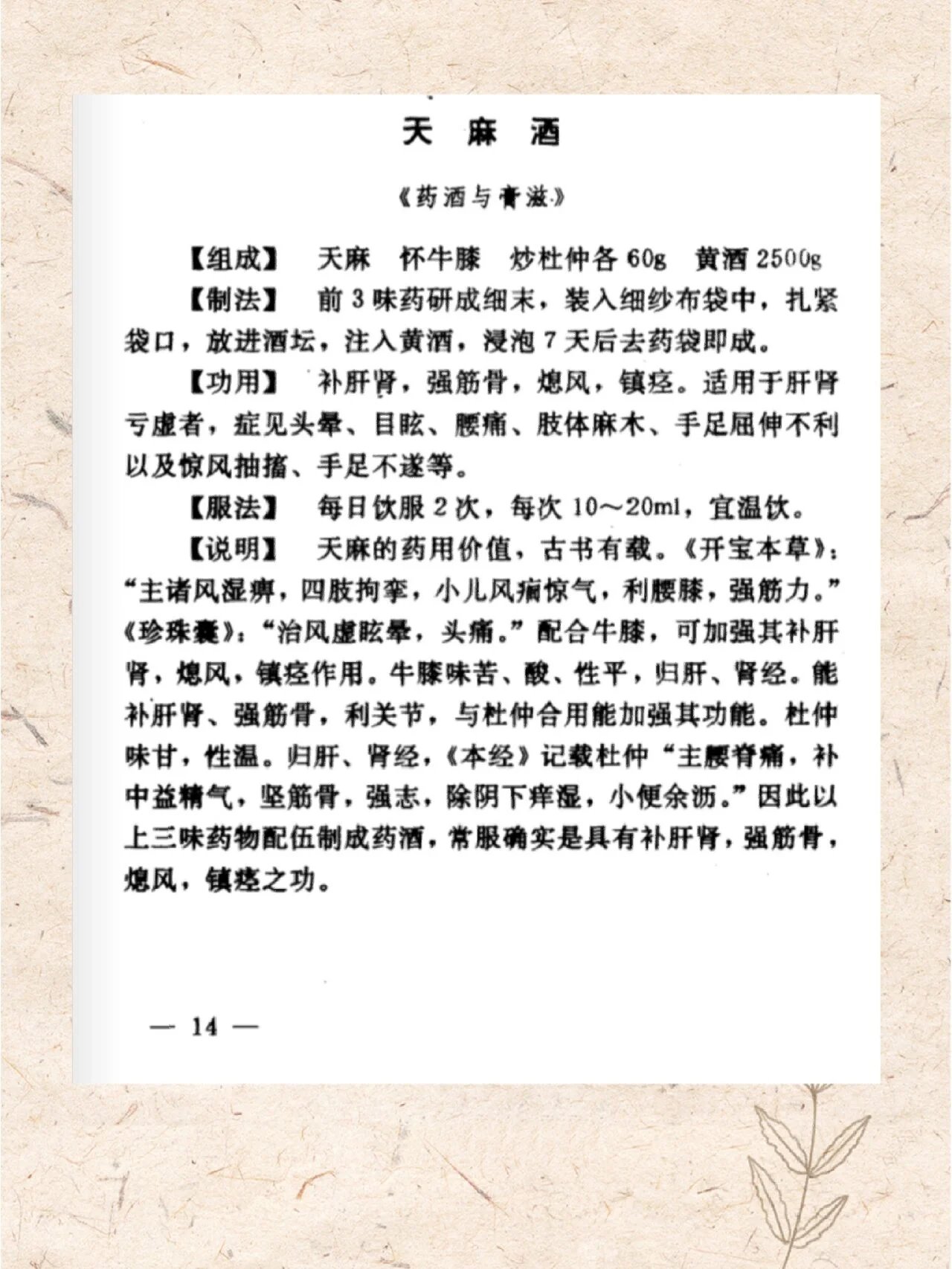 治腰痛药酒配方制作现场：玻璃罐中浸泡着杜仲、枸杞等多种中药材的琥珀色酒液_1