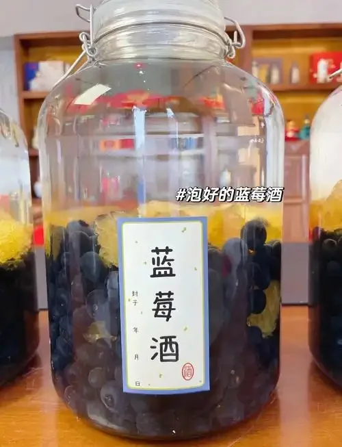家庭自酿蓝莓泡酒过程展示：透明玻璃罐中紫红色酒液与蓝莓_1