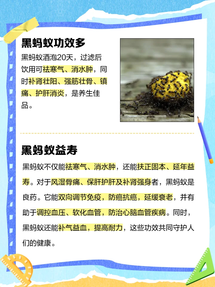 透明玻璃罐内用黑蚂蚁、枸杞、人参泡制药酒的特写照片，展示传统养生泡酒方法_1
