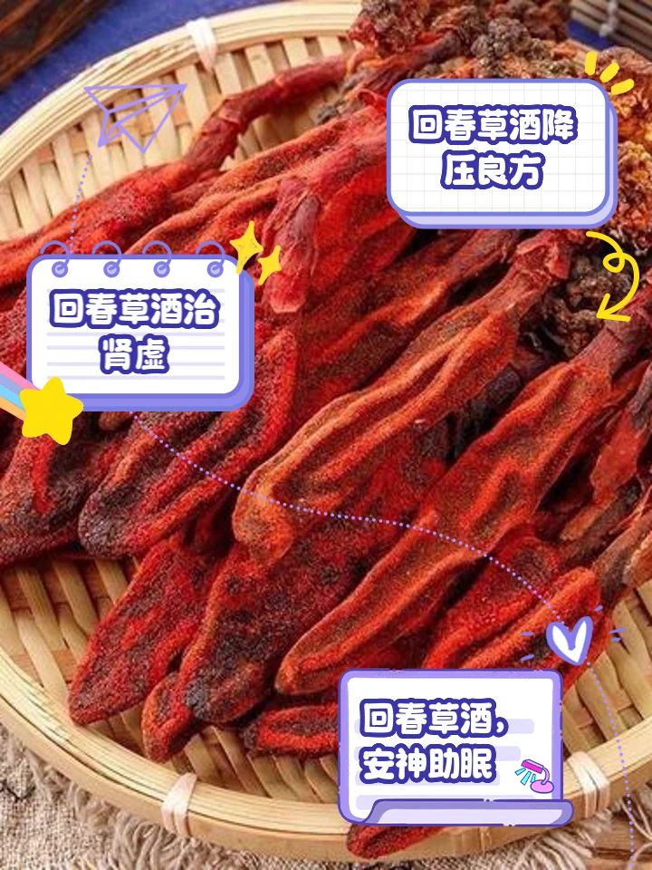 一瓶浸泡着草乌和枸杞的琥珀色药酒，旁边放置着警示标签，强调其潜在毒性。_1