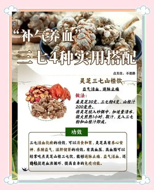 三七粉泡酒制作过程展示：透明玻璃罐中的琥珀色药酒与三七原料特写_1