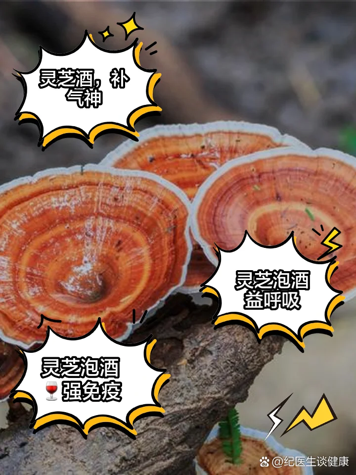 浸泡着灵芝和红枣枸杞的琥珀色药酒，展示家庭自制灵芝泡酒的真实场景。_1