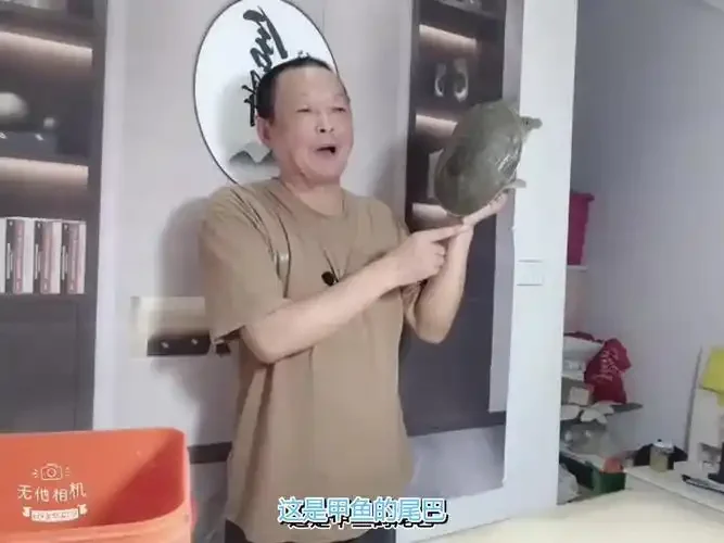 甲鱼药酒浸泡过程展示：玻璃酒坛中甲鱼与中药材在琥珀色酒液中清晰可见。_1