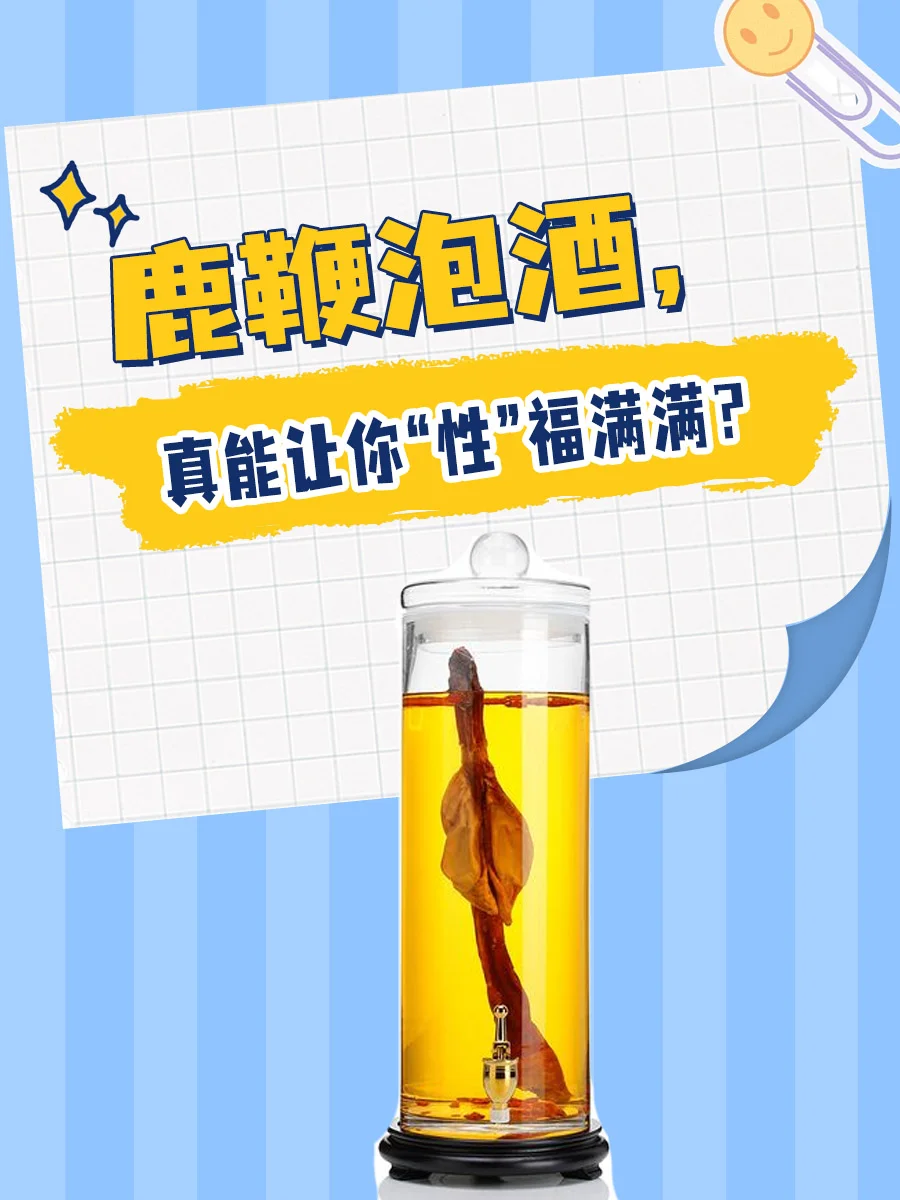 鹿鞭与人参泡酒过程特写：玻璃瓶中浸泡的鹿鞭、人参等药材_1