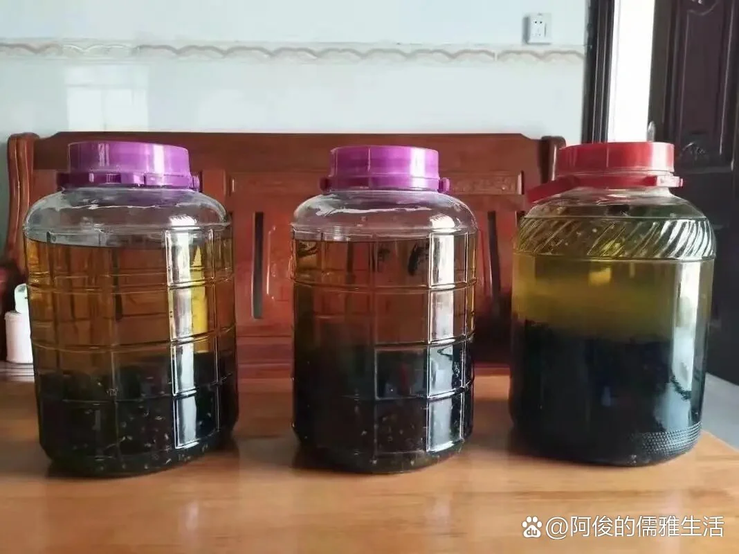专业制作的风湿泡酒展示：透明玻璃罐中清澈酒液浸泡多种中药材，如当归、独活等_1