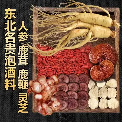 鹿茸、人参、枸杞泡酒材料与成品展示图，展示正确的药材搭配与黄金比例_1