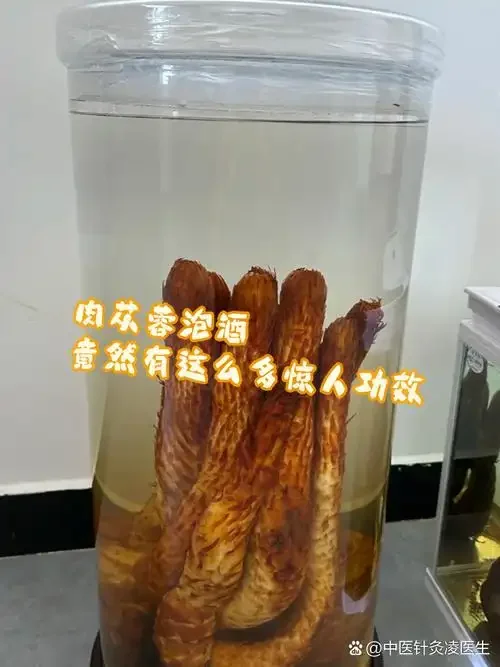 酿酒师演示肉苁蓉泡酒的正确步骤：将肉苁蓉和枸杞放入玻璃酒坛_1