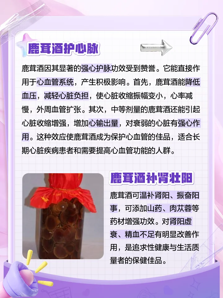 精选干海马、鹿茸切片与玻璃泡酒瓶摆放在操作台上，用于制作海马鹿茸酒。_1