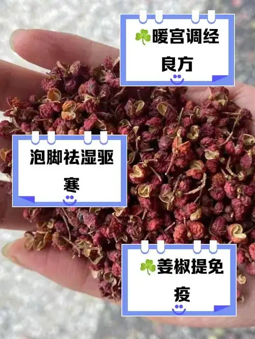 专业人士正在将新鲜花椒放入透明玻璃罐中泡酒，展示花椒泡酒的正确起始步骤_1