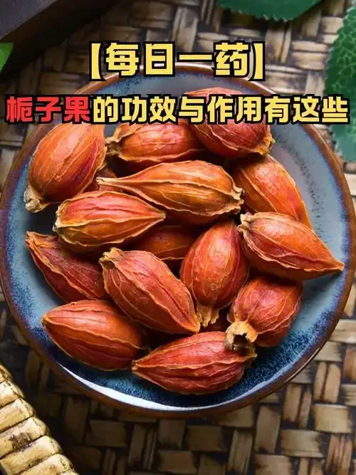 山栀子泡酒制作过程展示：金黄的山栀子在透明玻璃罐的清酒中浸泡_1