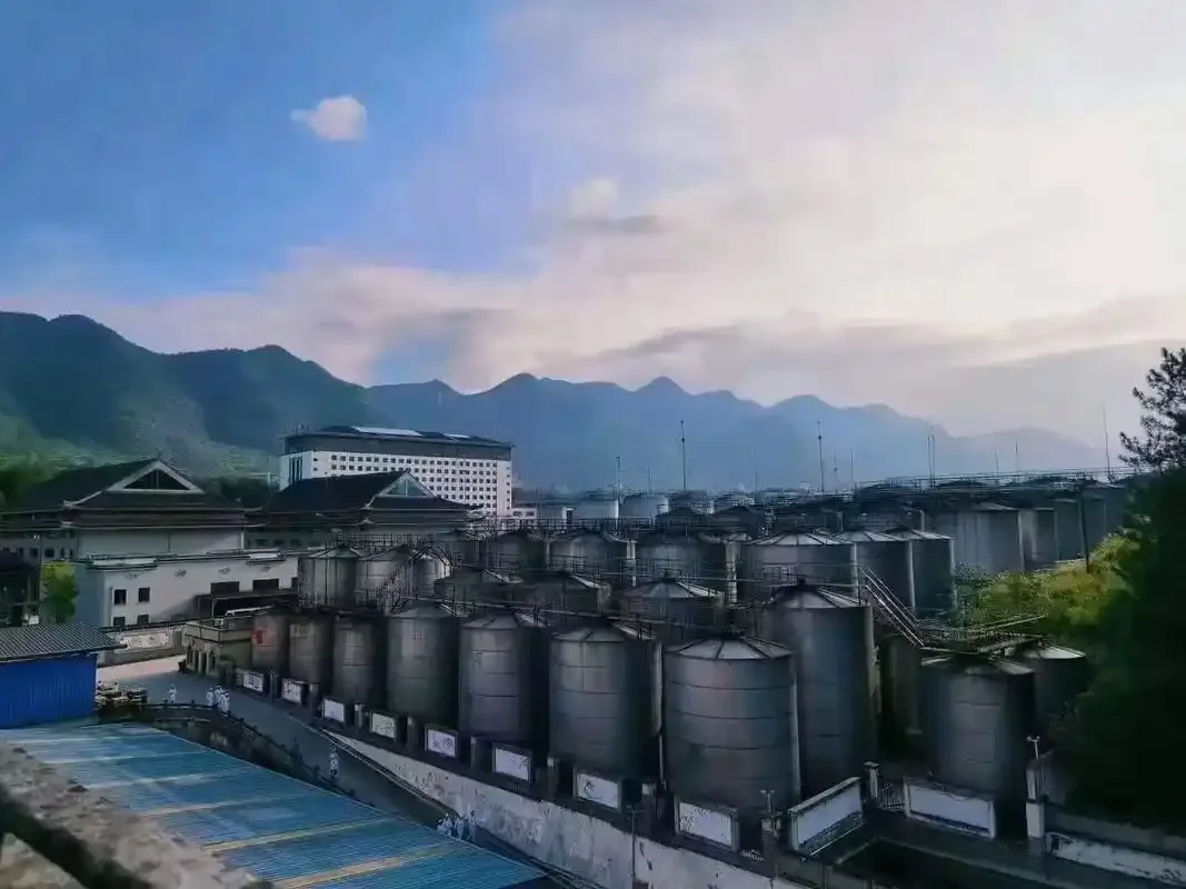 茅台镇传统酿酒师正在检查大曲发酵状况_1