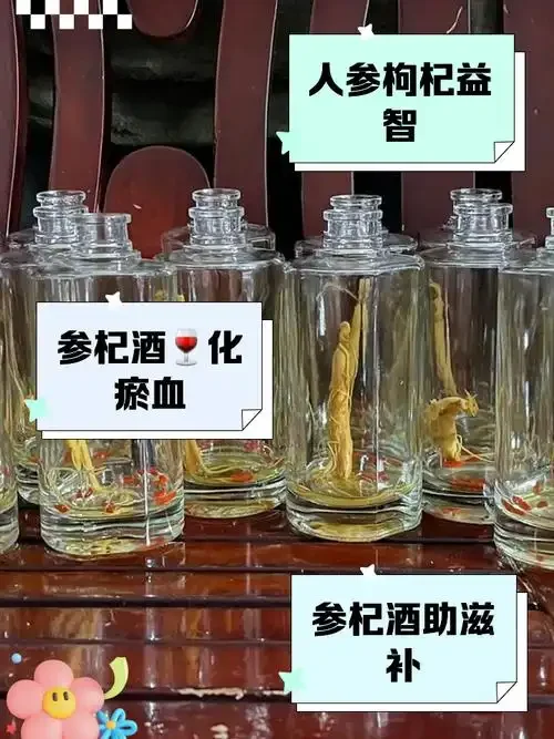 家庭自酿白花丹泡酒成品展示：透明玻璃瓶中琥珀色酒液与白花丹根茎_1
